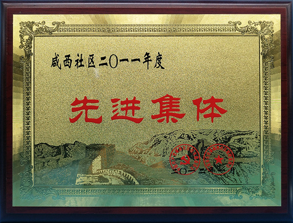 麻豆免费视频榮譽：先（xiān）進集體